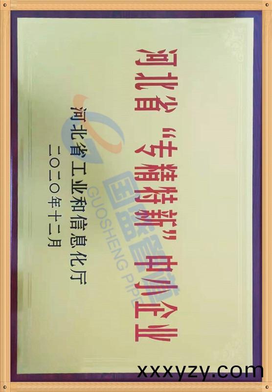 專(zhuan)精特新(xin)認證