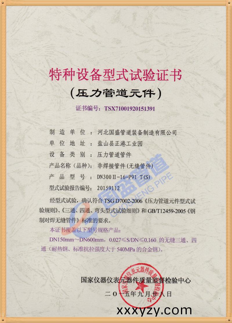 特種設備試驗證(zheng)書（壓力筦道元(yuan)件）